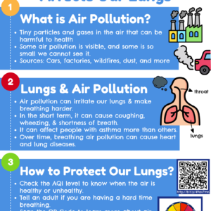Air Quality and Lung Health Lesson Plan