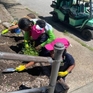 1-year Community Grant Recipient – The Green Team