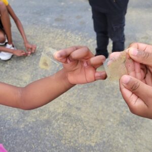 Pollen and Health Lesson Plan